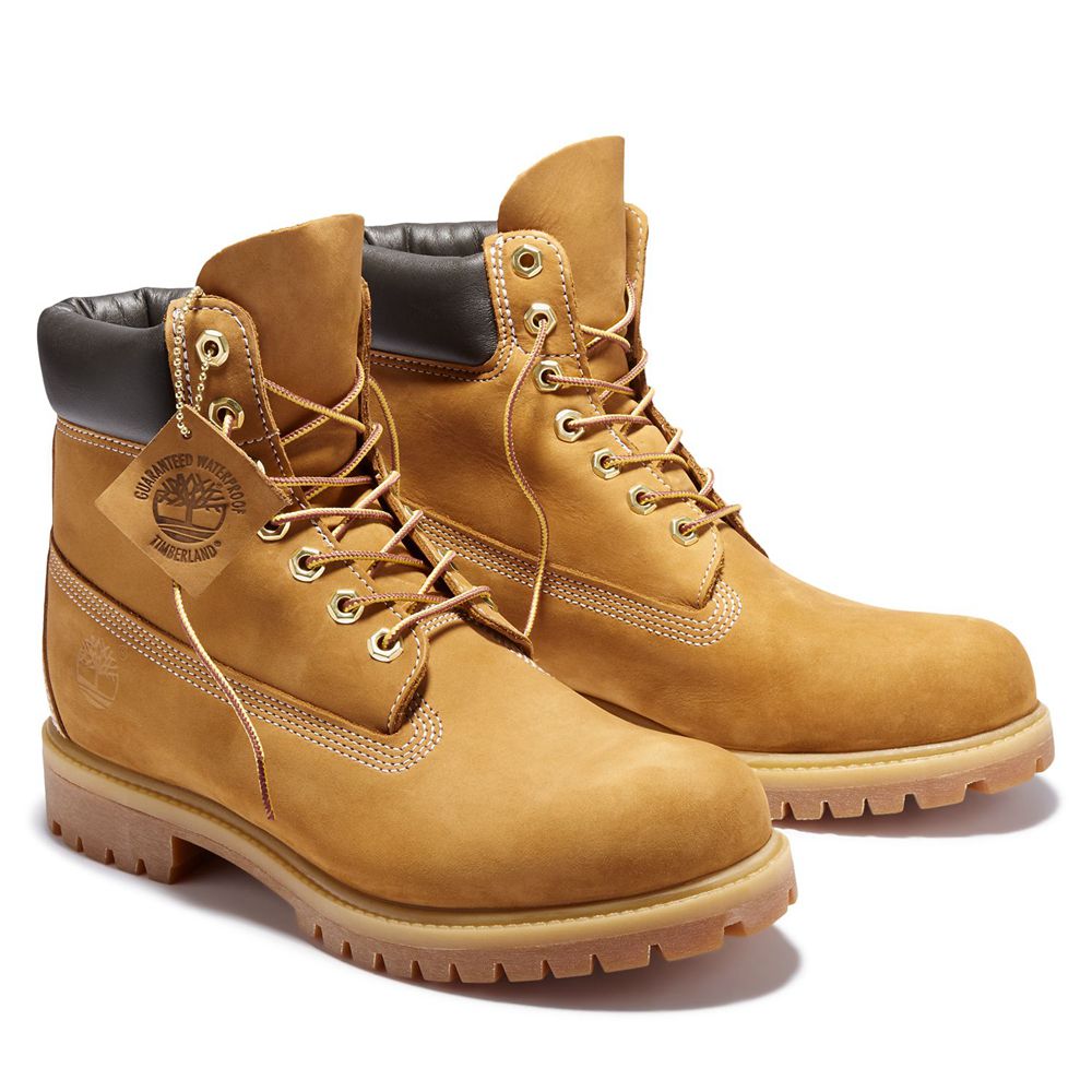 Bocanci De Zapada Timberland Barbati Maro - 6-Inch Premium Waterproof - Romania - DJPQFH370